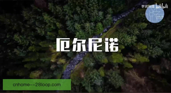 拉蒂尼娜技术容错空间：动作衔接留有余地更稳